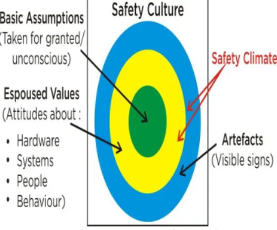 Gambar 1 Model Safety Culture   (Sumber  :  PRISM  FG1  Safety  Culture Aplication Guide)  