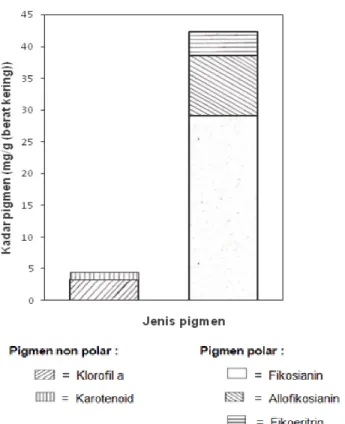 Gambar  3.   Profil  pigmen polar  dan  non polar  Spirulina  sp.
