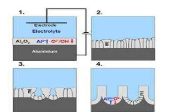 Gambar 1.1. Skema anodisasi 