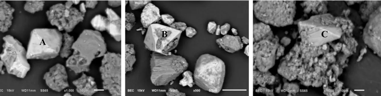 GAMBAR 1. Morfologi bulir dari tanah vulkanik pada lapisan pertama:  (A) vulkanik soil alamiah (A10), (B) vulkanik soil  setelah 3 bulan penambahan  pestisida (A13), (C) Vulkanik Soil setelah 6 bulan penambahan pestisida (A16) 