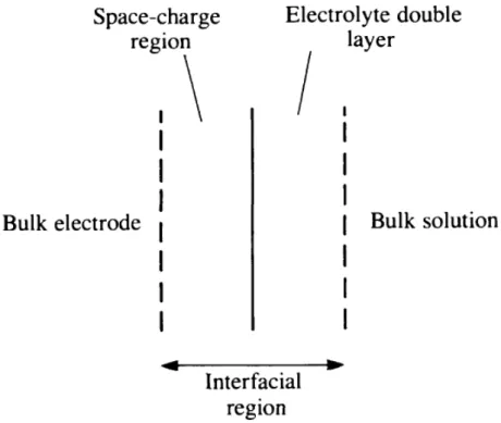 Gambar 1.1. Illustrasi skematik antarmuka elektroda-larutan