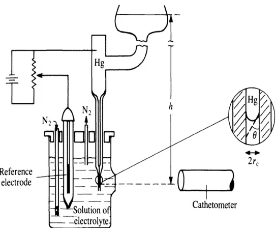 Gambar 1.4. Skematis alat pengukuran tegangan permukaan air  raksa dengan metoda Lippmann.
