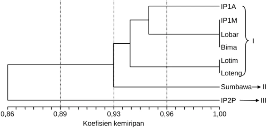 Gambar 1. Dendrogram delapan genotipe jarak pagar (Jatropha curcas L.) berdasarkan karakter kualitatif