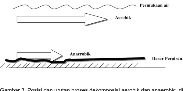 Gambar 3. Posisi dan urutan proses dekomposisi aerobik dan anaerobic  di  perairan 