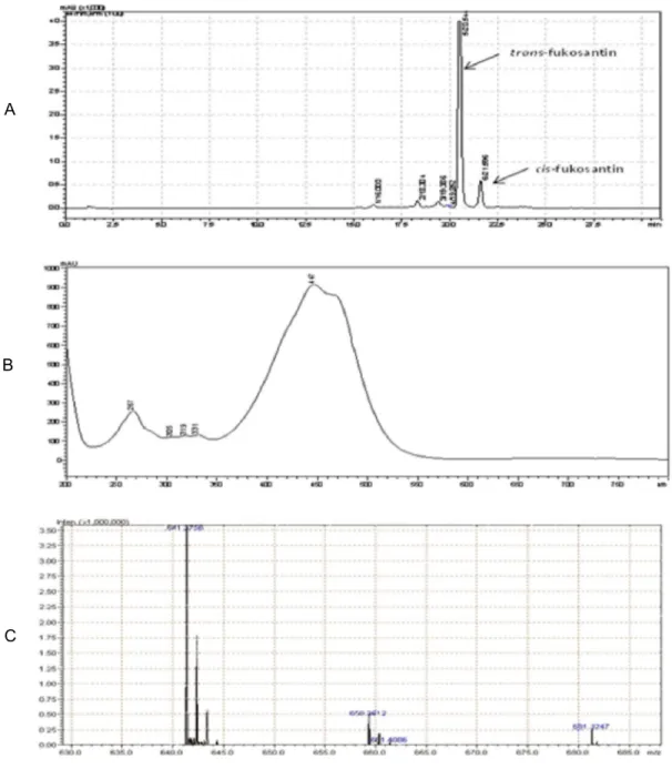 Gambar 1. Kromatogram HPLC (A), serapan UV (B), dan puncak ion fukosantin (C) Figure 1