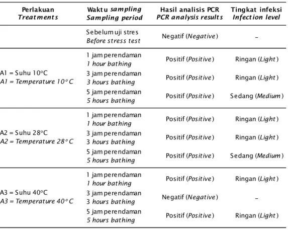 Tabel 1. Hasil deteksi WSSV dengan teknik PCR pada benur udang windu sebelum dan sesudah stressing dengan suhu