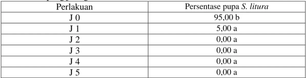 Tabel 4. Rata-rata persentase imago S. litura yang muncul setelah aplikasi ekstrak   rimpang jeringau 