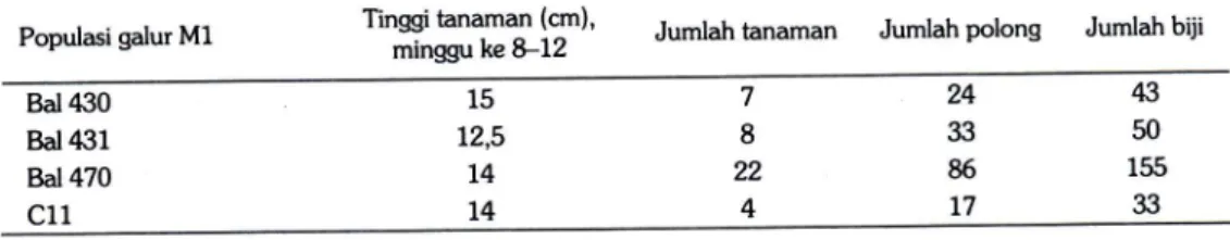 Tabel 1. Rata-rata tinggi tanaman, jumlah tanaman, jumlah polong dan jumlah biji  hasil aklima- aklima-tisasi pada empat populasi/galur kedelai Ml.