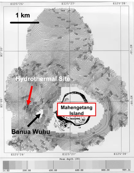 Gambar 7. Kegiatan hidrotermal Banua Wuhu, terletak sebelah  barat pulau Mahengetang, dicirikan oleh morfologi  sangat kasar yang diperkirakan sebagai breksi  volkanik