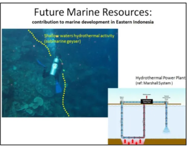 Gambar 8. Potensi sumber daya kelautan masa  depan shallow waters hydrothermal; 