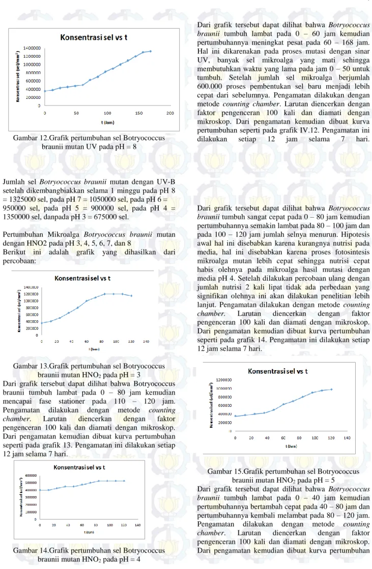 Gambar 12.Grafik pertumbuhan sel Botryococcus  braunii mutan UV pada pH = 8 