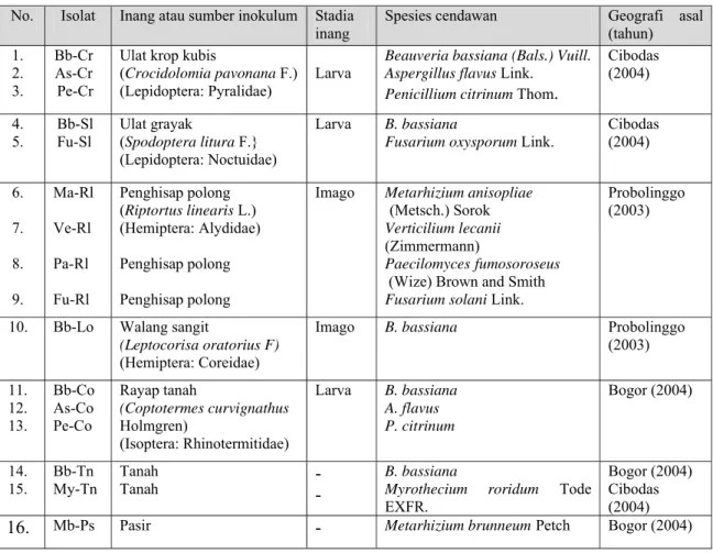 Tabel 4.1 Cendawan entomopatogen yang ditemukan pada berbagai inang  atau sumber inokulum di alam  