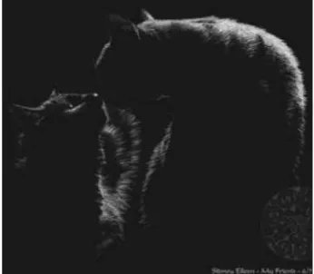 Gambar  1.6.  Contoh Karya Black  Paper  
