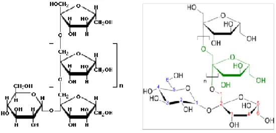 Gambar 5. Struktur kimia inulin (Sumber. www.wikipedia- inulin.com)