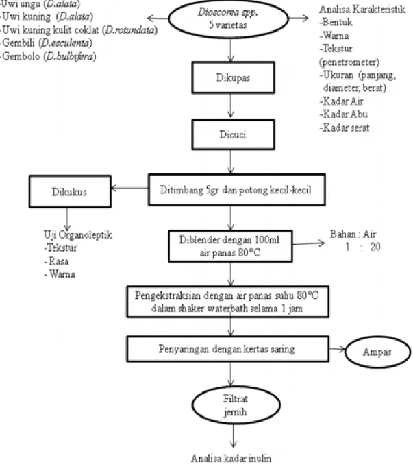 Gambar 6. Diagram Alir Karakterisasi Umbi Uwi (Dioscorea spp.)Diagram Alir Proses Karakterisasi Umbi Uwi (Dioscorea spp.)