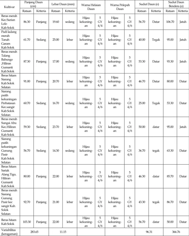Tabel 2.   Hasil Pengamatan Karakter Daun Padi Beras Merah Kabupaten Solok dan Kabupaten  Solok Selatan Propinsi Sumatera Barat 