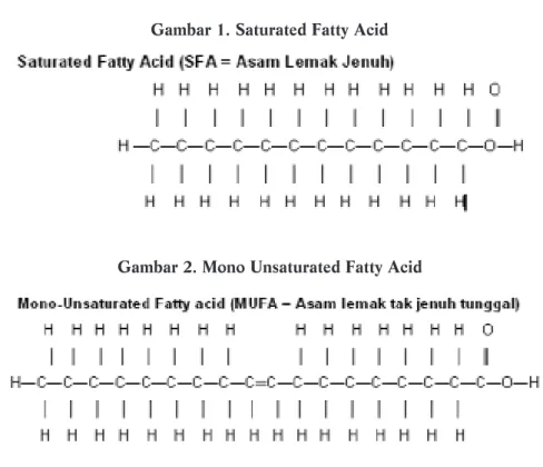 Gambar 2. Mono Unsaturated Fatty Acid