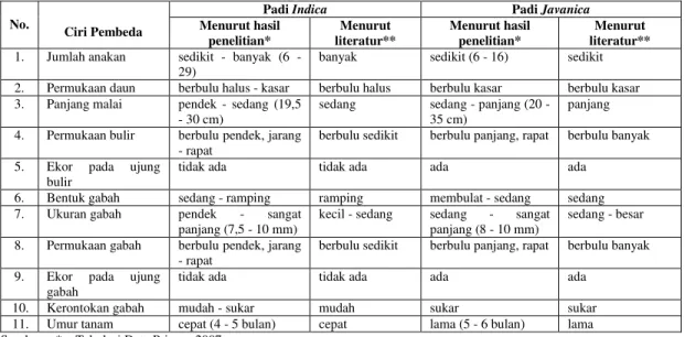 Tabel 4.   Perbandingan Karakteristik Padi Indica dan Javanica 