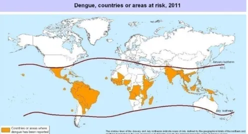 Gambar 1. Negara dengan risiko transmisi virus Dengue. 