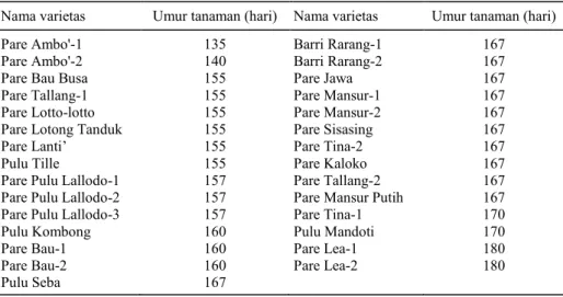 Tabel 2. Keragaman aksesi padi lokal berdasarkan karakter umur panen. 