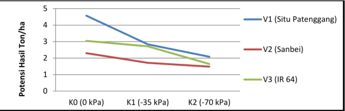 Tabel 8 pengaruh kekeringan terhadap varietas menunjukkan bahwa potensi  hasil  pada  kondisi  jenuh  air  0  kPa  angka  tertinggi  terdapat  pada  varietas  Situ  Patenggang  yaitu  4.57  ton/ha  yang  berbeda  nyata  dengan  varietas  IR64  dan  genotip