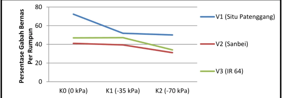 Tabel  5  pengaruh  interaksi  kekeringan  dan  varietas  terhadap  persentase  gabah  bernas  per  rumpun  angka  tertinggi  pada  Pada  tingkat  kekeringan  -70  kPa  persentase  gabah  bernas  tertinggi  terdapat  pada  genotipe  Sanbei  51.70%  dan  va