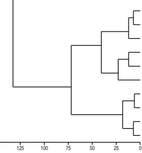 Gambar  1.  Dendogram  hasil  pengelompokan  berdasarkan  parameter  warna L*, a*, dan b* serta kandungan antosianin total pada 11  kultivar padi beras hitam lokal 