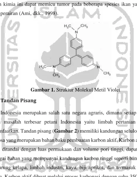 Gambar 1. Struktur Molekul Metil Violet  2.2  Tandan Pisang 