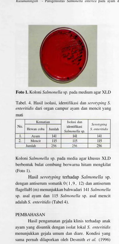 Foto 1. Koloni Salmonella sp. pada medium agar XLD Tabel. 4. Hasil isolasi, identifikasi dan serotyping S.
