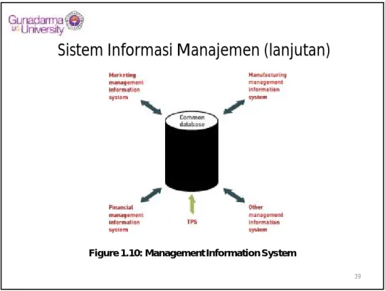 Figure 1.10: Management Information System