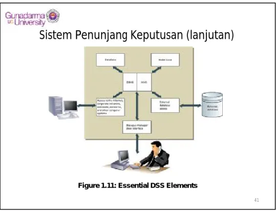 Figure 1.11: Essential DSS Elements