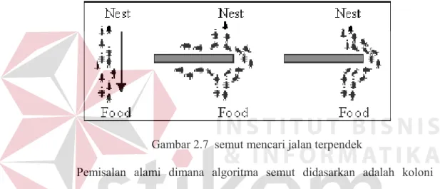 Gambar 2.7  semut mencari jalan terpendek 