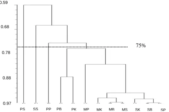 Gambar  3.  Dendrogram  esterase  tanaman  buah  naga  dari  empat  lokasi  pengambilan  sampel  (Hasil  analisis  software  NTSYS -pc,  1993)