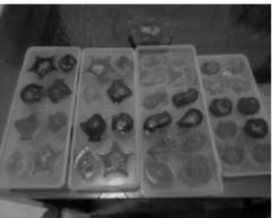 Gambar 5b. Permen jelly kolang kaling 