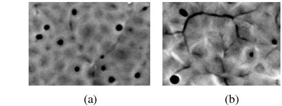 Gambar 12 Morfologi membran nilon sebelum filtrasi : (a) 6 gram (b) 6.5 gram 