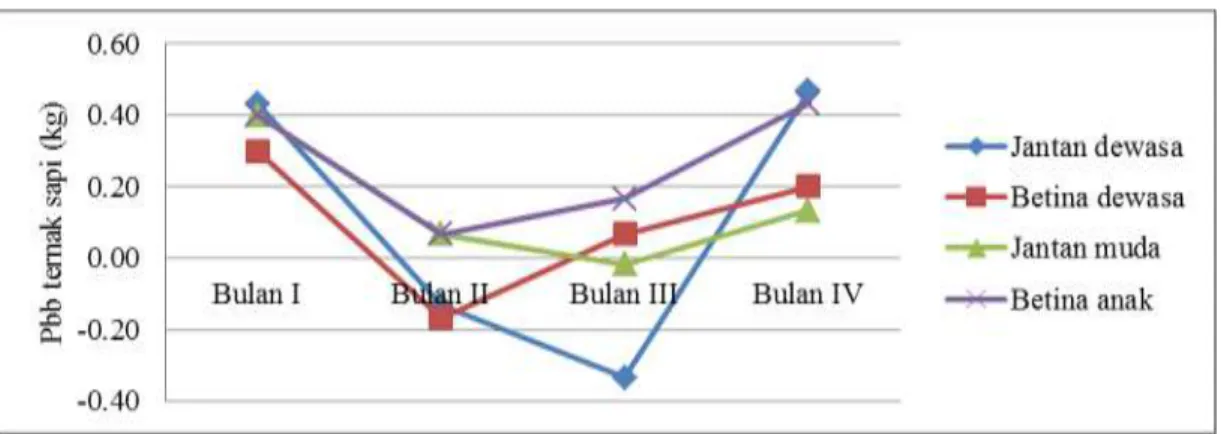 Gambar 6. Grafik Pbb ternak sapi berdasarkan jenis ternak pada musim kemarau di Distrik Kurik