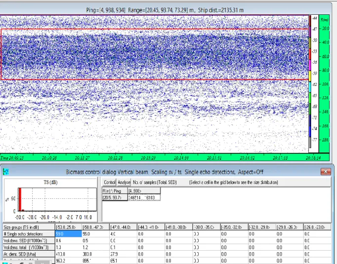 Gambar 9 Contoh echogram menggunakan Software Sonar Ver 4 ( Data riset Laut dalam , Laut  Arafura dengan Kapal Riset Baruna Jaya VII, BRPL dan LIPI Ambon 2015) 