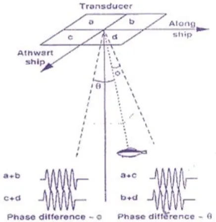 Gambar 2 Bentuk Split Beam dan full beam transducer (MacLennan 1992) 