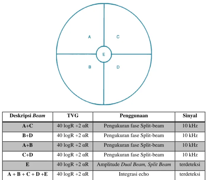 Gambar 6. Diagram dari transducer dual beam / split beam, menunjukkan lokasi dari berbagai  segmen yang dijelaskan dalam teks dan bentuk masing-masing beam yang digunakan dalam 