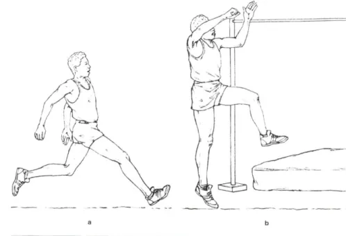 Gambar 2.1: Pendidikan Olahraga ditekankan pada penguasaan keterampilan cabang olahraga  (Carr, 1997) 