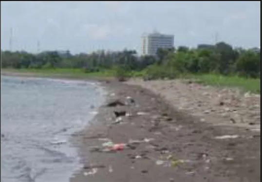 Gambar 1.  Perairan  sekitar  kawasan  Metro  Tanjung  Bunga  yang  dipenuhi oleh sampah 