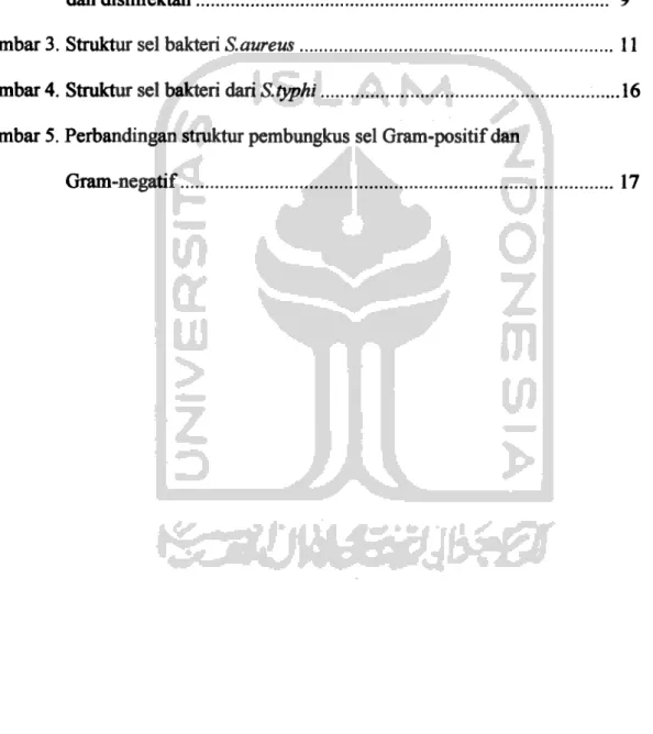 Gambar 1. Rumus struktur fenol 8