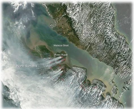 Gambar  tersebut  merupakan  gambar  dari  citra  satelit  resolusi  tinggi  MODI NASA pada tanggal 28 Februari 2014 yang memperlihatkan kabut  asap yang terdeteksi akibat dampak asap kebakaran lahan gambut di Riau