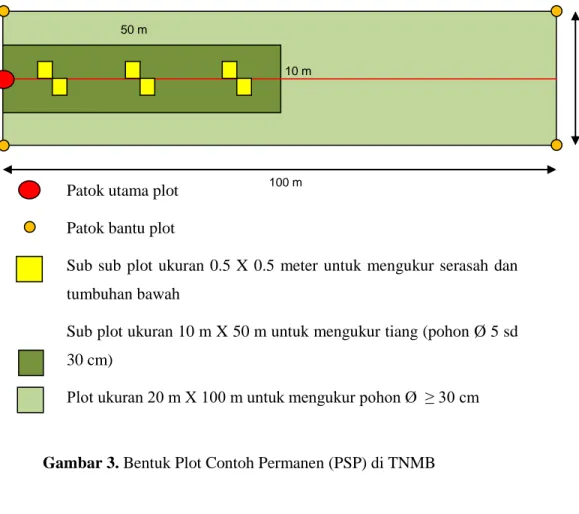 Gambar 3. Bentuk Plot Contoh Permanen (PSP) di TNMB 
