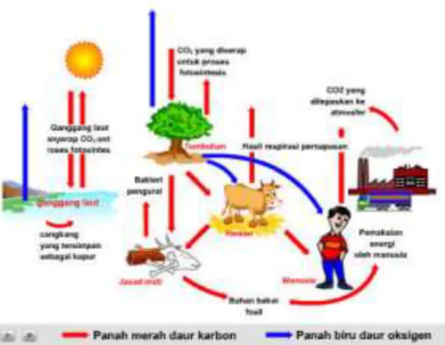 Gambar 1. Siklus karbon (Sumber: Adhi, 2008 )  2.2.  Peran Hutan dalam Perubahan Iklim 