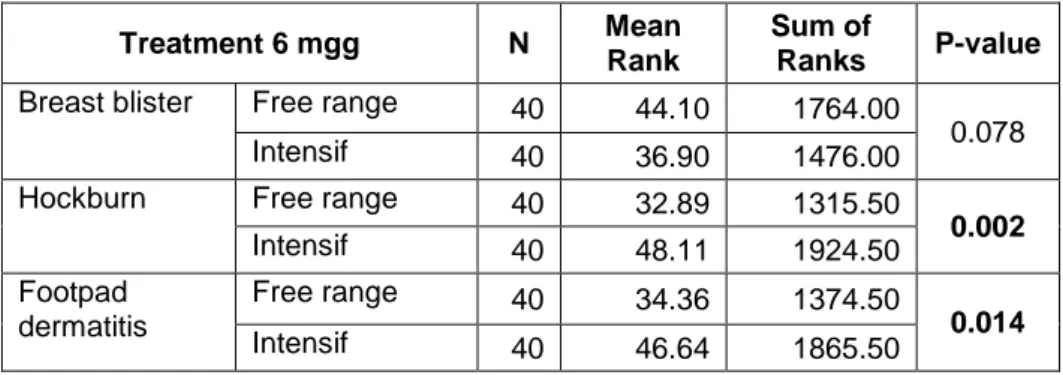 Tabel  4.  Perbedaan  kondisi  breast  blister,  hockburn,  dan  FPD  pada  ayam  umur  6  minggu yang dipelihara dengan free range dan intensif  