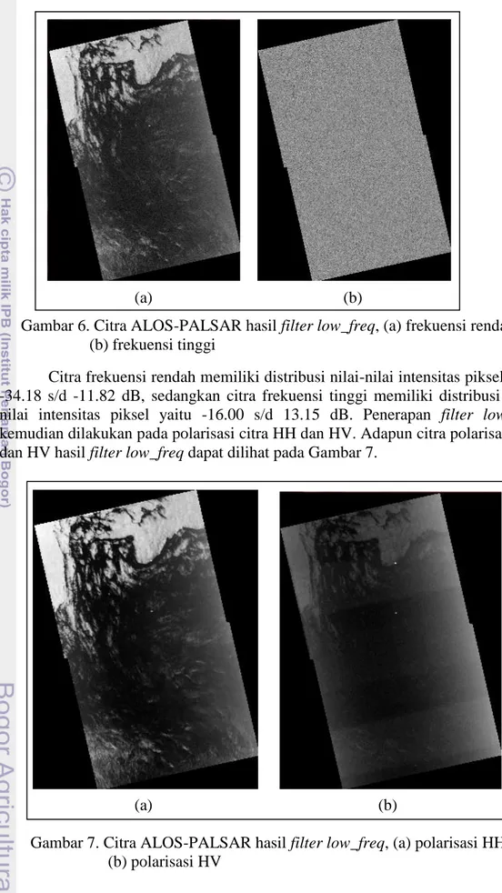 Gambar 6. Citra ALOS-PALSAR hasil filter low_freq, (a) frekuensi rendah,   (b) frekuensi tinggi 