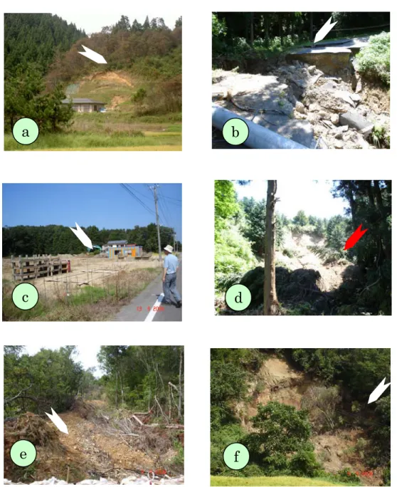 Gambar 2.    Kondisi  lapangan  lahan longsor dan yang bukan lahan longsor di daerah Teradomari   (a) lahan longsor  berukuran sekitar 10 m x 10 m (terdeteksi), (b) kondisi jalan longsor  (tidak terdeteksi), (c) pembukaan lahan untuk permukiman (terdeteksi