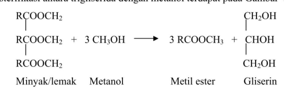 Gambar 4. Reaksi transesterifikasi trigliserida dengan metanol 