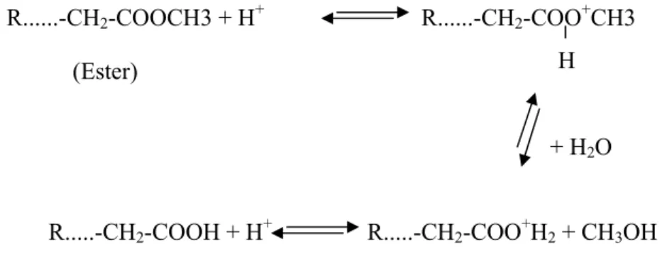 Gambar 15. Reaksi hidrolisis dengan asam (Ketaren, 1986) 